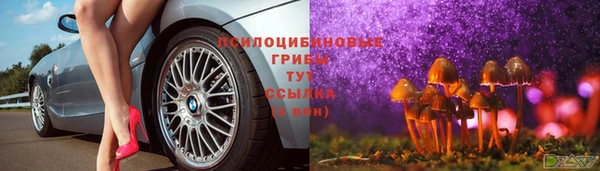 амфетамин Богородицк