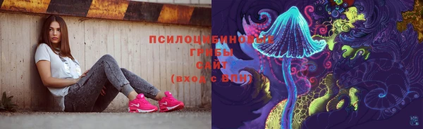 мдпв Белокуриха