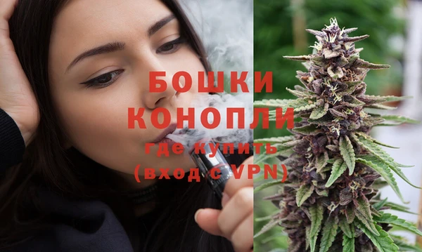 ECSTASY Богородск