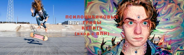 Альфа ПВП Верея